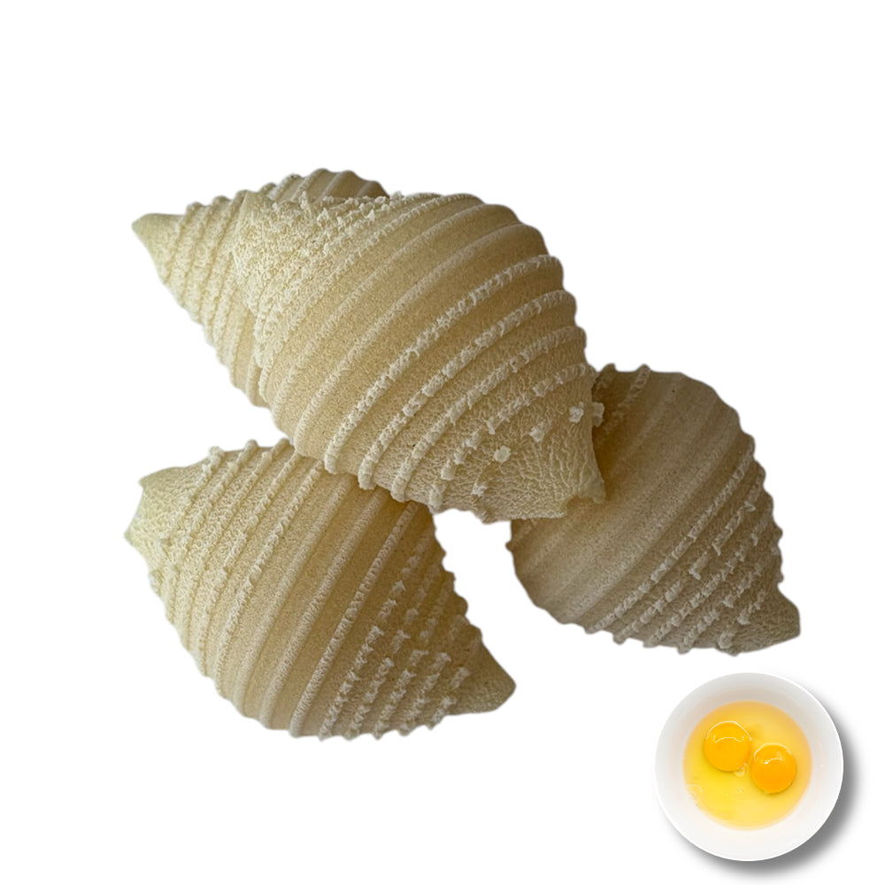 Conchiglie (shell)