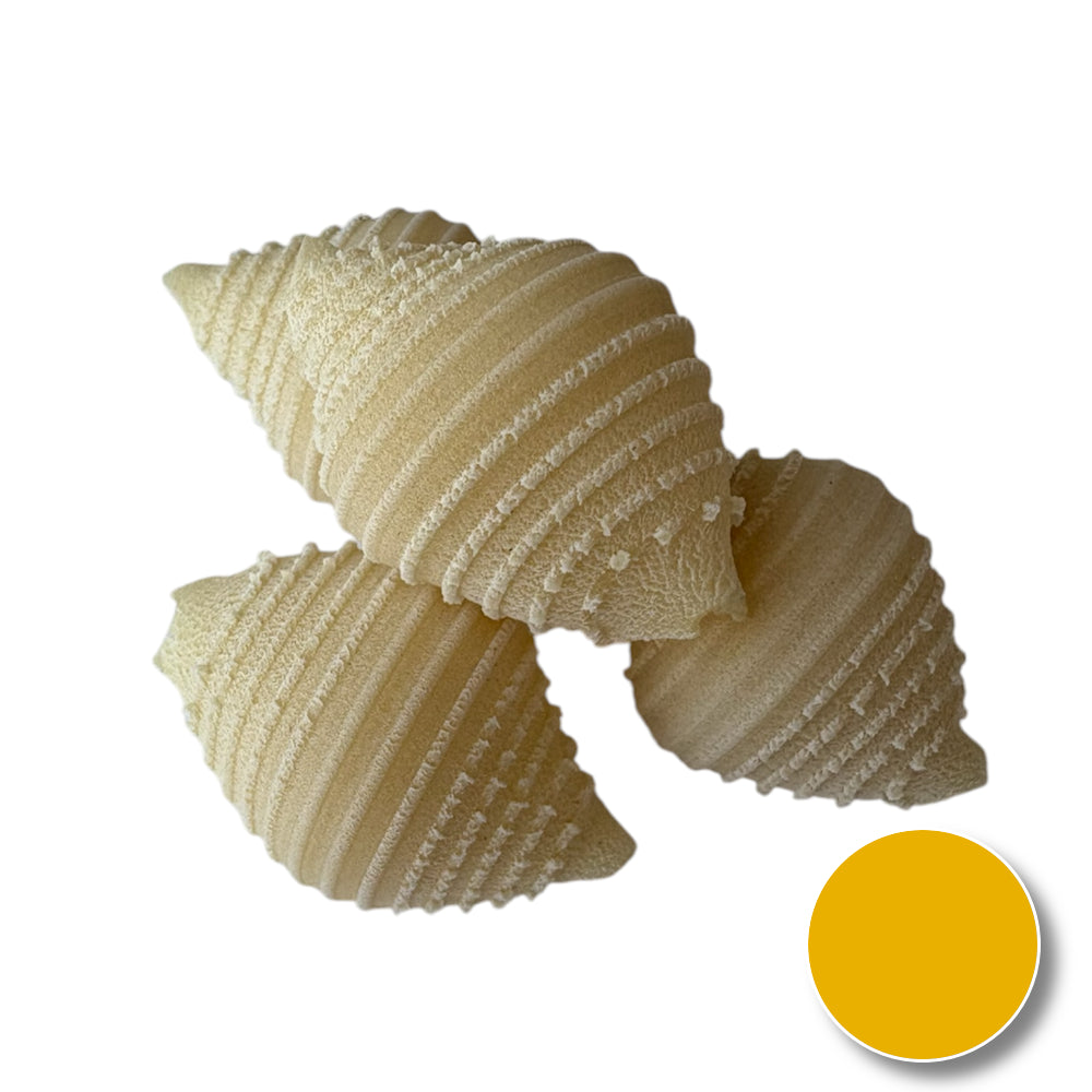 Conchiglie (shell)